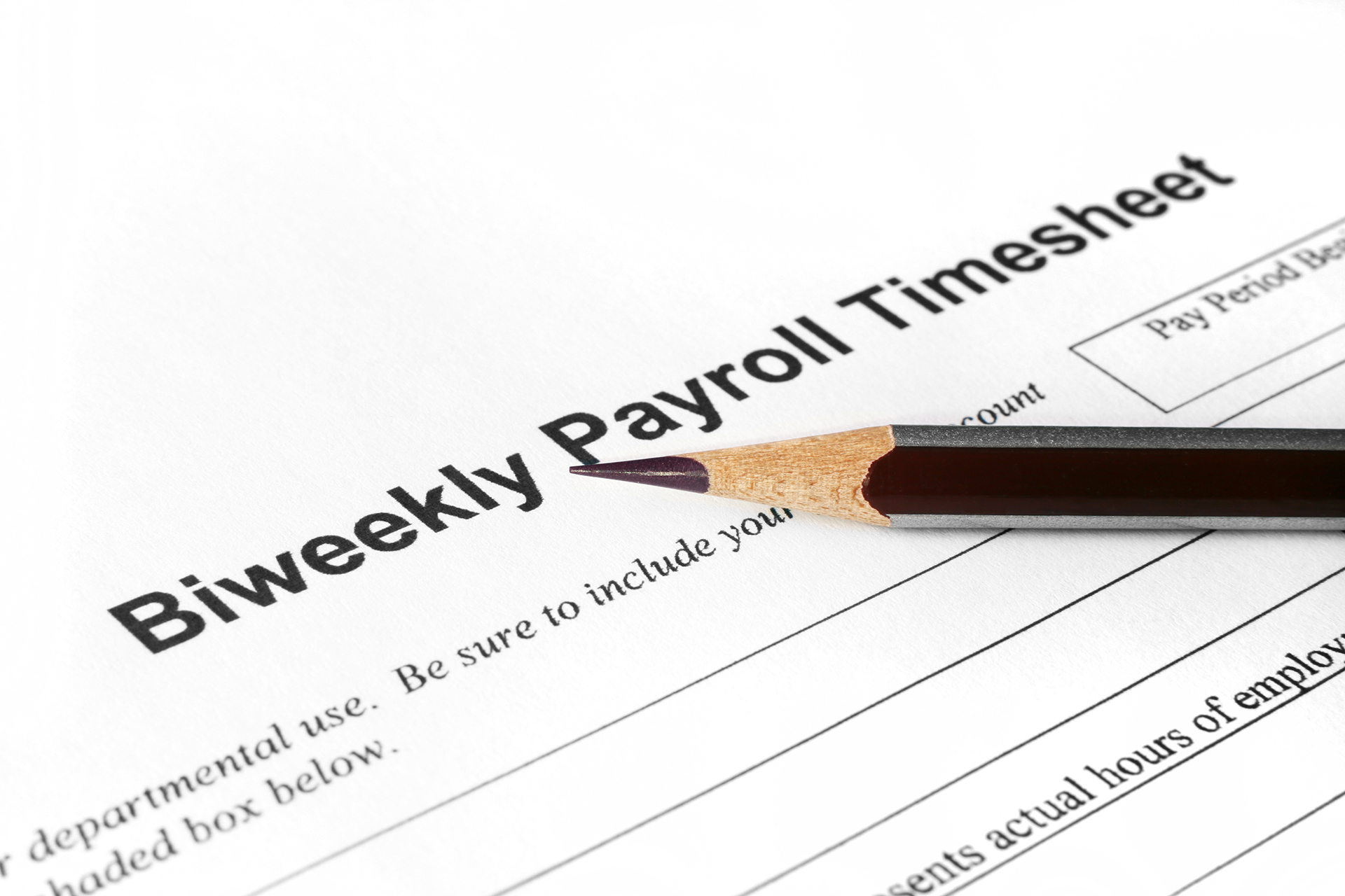 Biweekly payroll timesheet Biweekly payroll timesheet